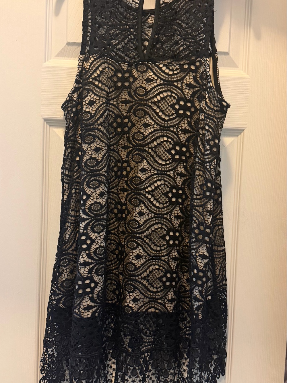 Altar'd State Black Lace A-Line Skirt with Nude Underlay